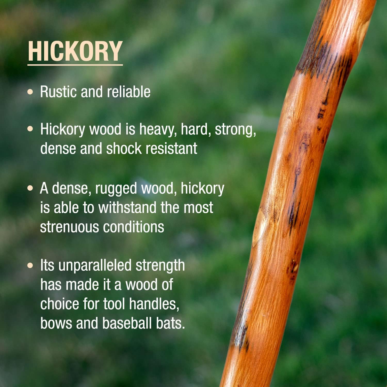 Brazos Rustic Wood Walking Stick, Hickory, Traditional Safari Style Handle, for Men & Women, Made in The USA - Image 3